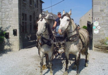 Ferme du château de Laneffe, gîte accueil cavalier