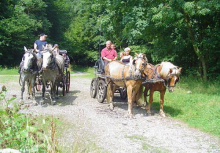 Ferme du château de Laneffe, gîte accueil cavalier