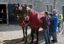 Ferme du château de Laneffe, gîte accueil cavalier