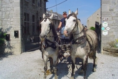 Ferme du château de Laneffe, gîte accueil cavalier