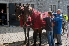 Ferme du château de Laneffe, gîte accueil cavalier