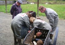 Ferme du Château de Laneffe, activités, team-building à la ferme