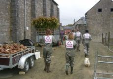 Ferme du Château de Laneffe, activités, team-building à la ferme