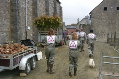 Ferme du Château de Laneffe, activités, team-building à la ferme