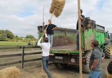 Ferme château Laneffe team building