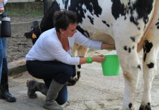 Ferme du Château de Laneffe, activités à la ferme