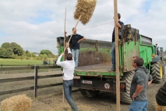 Ferme du Château de Laneffe, activités à la ferme