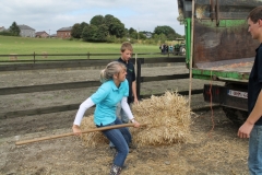 Ferme du Château de Laneffe, activités à la ferme