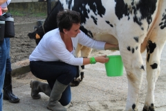 Ferme du Château de Laneffe, activités à la ferme