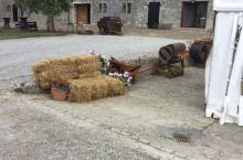 ferme-chateau-laneffe-photos-2017-08-23_026