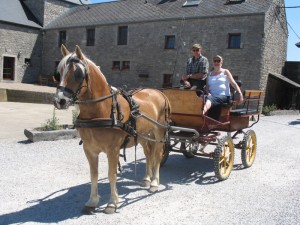 Ruiters en hun paarden